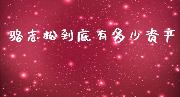 骆志松到底有多少资产_https://m.ycdhulan.com_证券新闻_第1张
