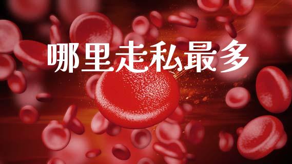 哪里走私最多_https://m.ycdhulan.com_股市在线_第1张