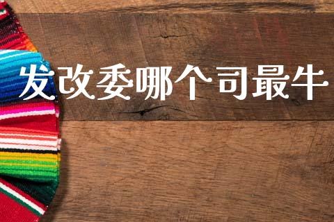 发改委哪个司最牛_https://m.ycdhulan.com_股市在线_第1张