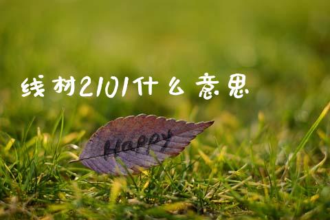 线材2101什么意思_国际金融_第1张_财经要闻_股市在线_理财产品_国际金融 线材2101什么意思_https://m.ycdhulan.com_国际金融_第1张