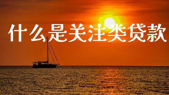 什么是关注类贷款_https://m.ycdhulan.com_股市在线_第1张
