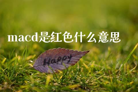 macd是红色什么意思_https://m.ycdhulan.com_理财产品_第1张