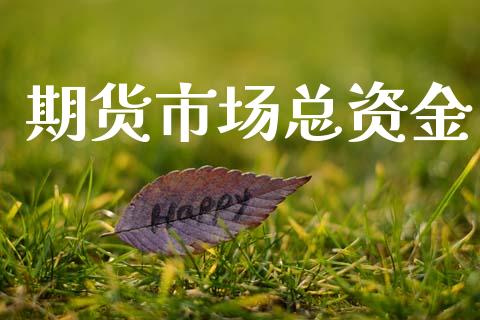 期货市场总资金_https://m.ycdhulan.com_国际金融_第1张