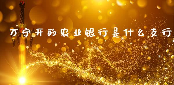 万宁开的农业银行是什么支行_https://m.ycdhulan.com_财经要闻_第1张