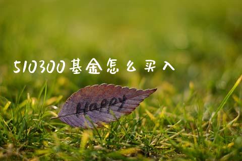 510300基金怎么买入_https://m.ycdhulan.com_财经要闻_第1张