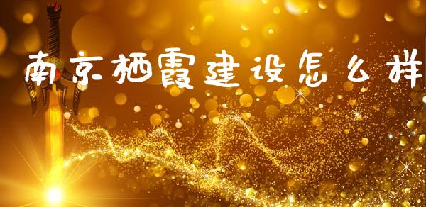 南京栖霞建设怎么样_https://m.ycdhulan.com_国际金融_第1张