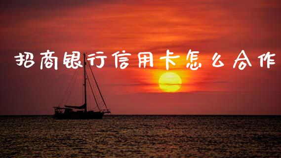 招商银行信用卡怎么合作_https://m.ycdhulan.com_国际金融_第1张