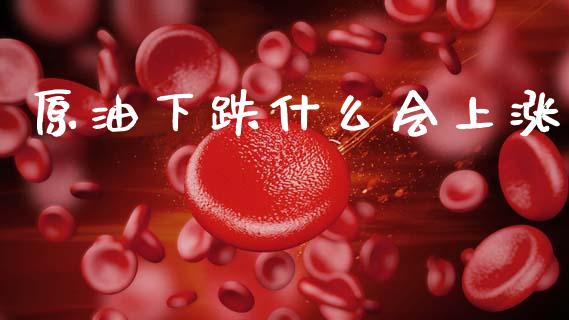 原油下跌什么会上涨_https://m.ycdhulan.com_期货交易_第1张