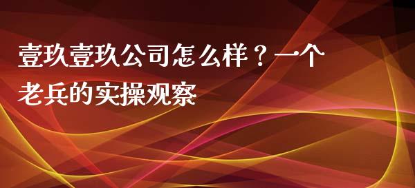 壹玖壹玖公司怎么样？一个老兵的实操观察_https://m.ycdhulan.com_财经要闻_第1张