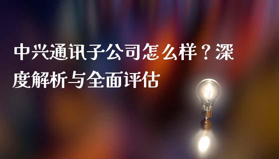 中兴通讯子公司怎么样?深度解析与全面评估_国际金融_第1张_财经要闻_股市在线_理财产品_国际金融 中兴通讯子公司怎么样?深度解析与全面评估_https://m.ycdhulan.com_国际金融_第1张