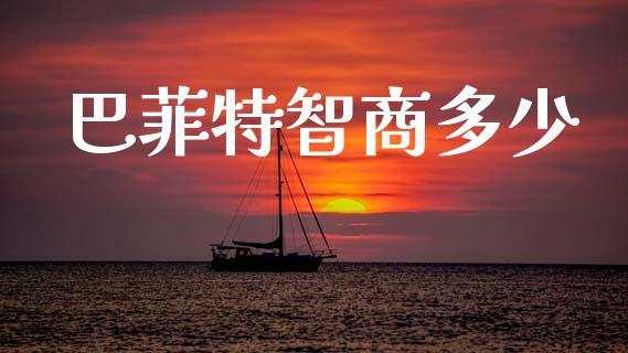 巴菲特智商多少_https://m.ycdhulan.com_股市在线_第1张