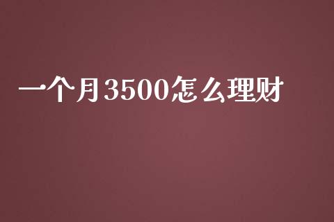 一个月3500怎么理财_https://m.ycdhulan.com_财经要闻_第1张