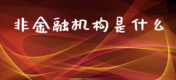 非金融机构是什么_https://m.ycdhulan.com_国际金融_第1张