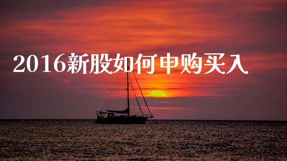 2016新股如何申购买入_https://m.ycdhulan.com_股市在线_第1张