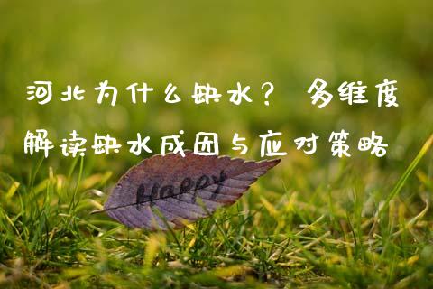 河北为什么缺水？ 多维度解读缺水成因与应对策略_https://m.ycdhulan.com_股市在线_第1张