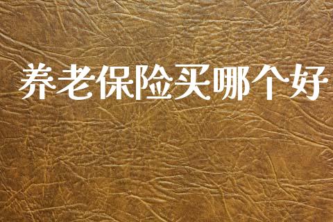 养老保险买哪个好_https://m.ycdhulan.com_国际金融_第1张