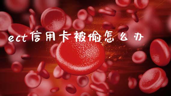 ect信用卡被偷怎么办_https://m.ycdhulan.com_国际金融_第1张