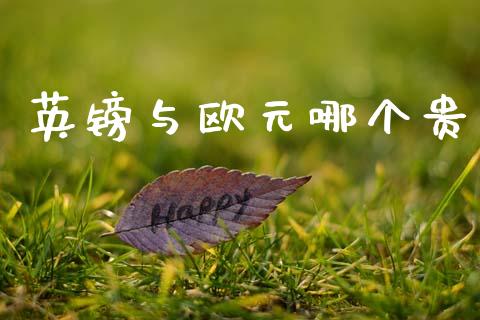 英镑与欧元哪个贵_国际金融_第1张_财经要闻_股市在线_理财产品_国际金融 英镑与欧元哪个贵_https://m.ycdhulan.com_国际金融_第1张