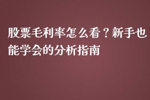 股票毛利率怎么看？新手也能学会的分析指南_https://m.ycdhulan.com_财经要闻_第1张