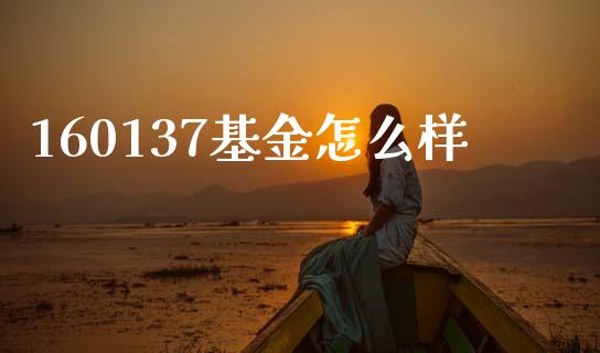 160137基金怎么样_https://m.ycdhulan.com_股市在线_第1张