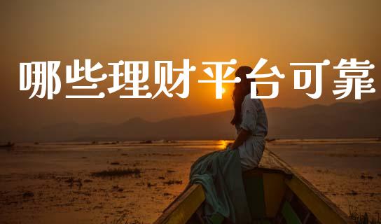 哪些理财平台可靠_https://m.ycdhulan.com_证券新闻_第1张