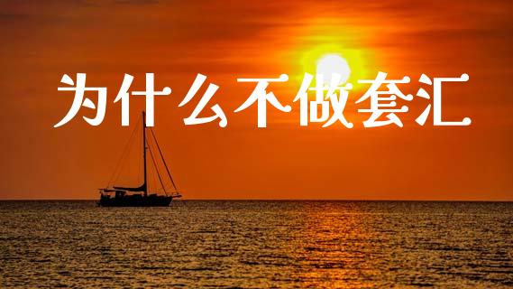 为什么不做套汇_https://m.ycdhulan.com_财经要闻_第1张