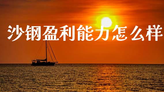 沙钢盈利能力怎么样_https://m.ycdhulan.com_国际金融_第1张