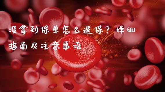 没拿到保单怎么退保？详细指南及注意事项_https://m.ycdhulan.com_证券新闻_第1张