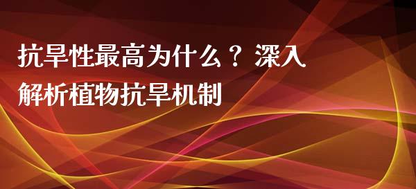 抗旱性最高为什么？ 深入解析植物抗旱机制_https://m.ycdhulan.com_国际金融_第1张