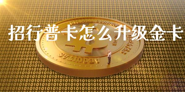 招行普卡怎么升级金卡_https://m.ycdhulan.com_财经要闻_第1张