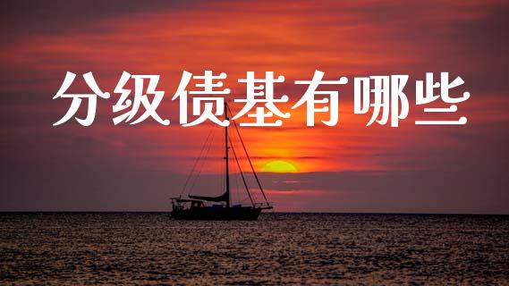 分级债基有哪些_https://m.ycdhulan.com_股市在线_第1张