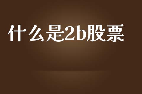 什么是2b股票_https://m.ycdhulan.com_期货交易_第1张