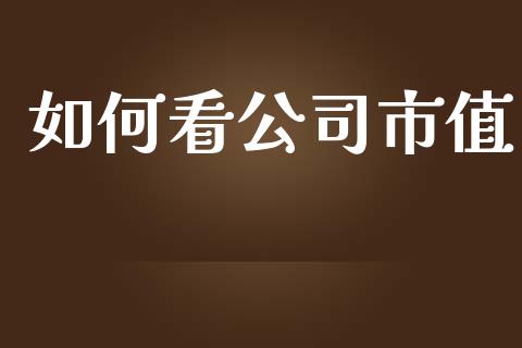 如何看公司市值_https://m.ycdhulan.com_财经要闻_第1张
