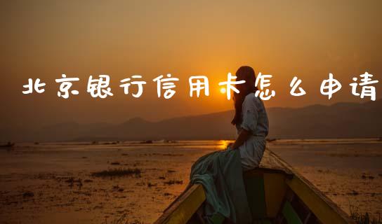 北京银行信用卡怎么申请_https://m.ycdhulan.com_财经要闻_第1张