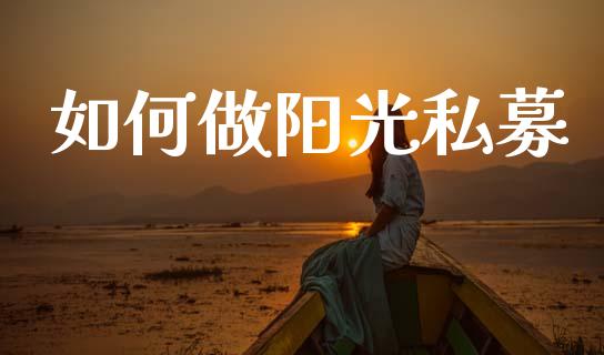 如何做阳光私募_https://m.ycdhulan.com_股市在线_第1张