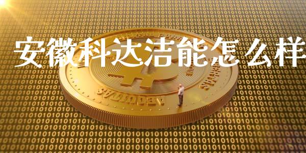 安徽科达洁能怎么样_https://m.ycdhulan.com_股市在线_第1张