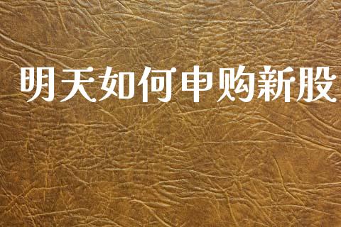 明天如何申购新股_https://m.ycdhulan.com_财经要闻_第1张