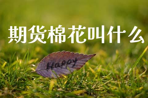 期货棉花叫什么_https://m.ycdhulan.com_理财产品_第1张