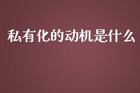 私有化的动机是什么_https://m.ycdhulan.com_股市在线_第1张