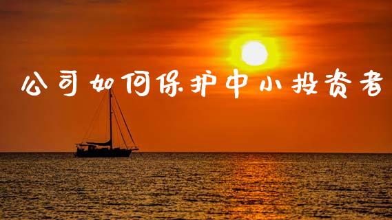 公司如何保护中小投资者_https://m.ycdhulan.com_财经要闻_第1张