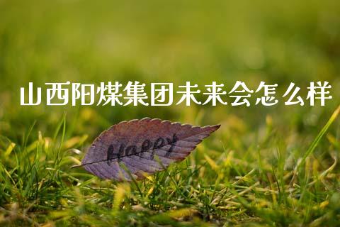山西阳煤集团未来会怎么样_https://m.ycdhulan.com_股市在线_第1张