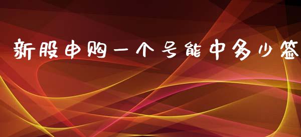 新股申购一个号能中多少签_https://m.ycdhulan.com_财经要闻_第1张