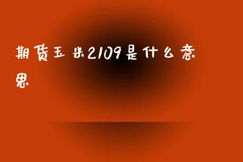 期货玉米2109是什么意思_https://m.ycdhulan.com_财经要闻_第1张