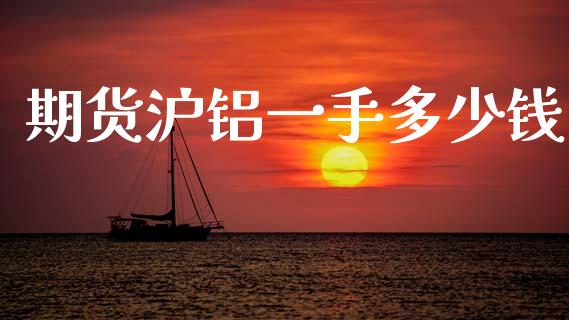 期货沪铝一手多少钱_https://m.ycdhulan.com_财经要闻_第1张
