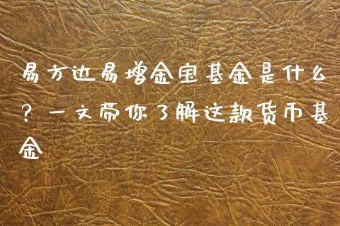 易方达易增金宝基金是什么？一文带你了解这款货币基金_https://m.ycdhulan.com_证券新闻_第1张