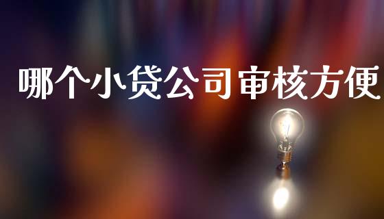 哪个小贷公司审核方便_https://m.ycdhulan.com_国际金融_第1张