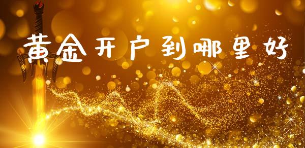 黄金开户到哪里好_https://m.ycdhulan.com_财经要闻_第1张