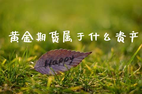 黄金期货属于什么资产_https://m.ycdhulan.com_股市在线_第1张