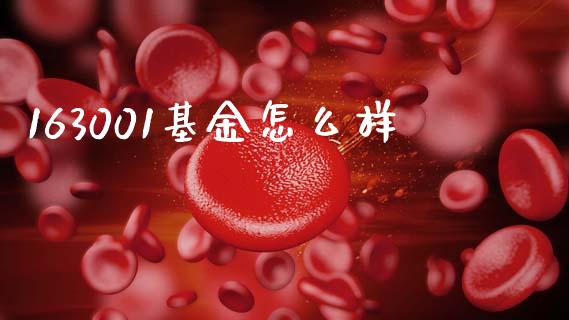 163001基金怎么样_https://m.ycdhulan.com_国际金融_第1张