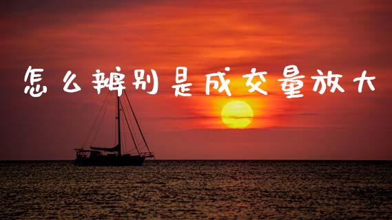 怎么辨别是成交量放大_https://m.ycdhulan.com_财经要闻_第1张